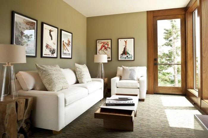 How to decorate small living room pictures